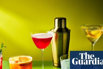 A vodkatini, a garibaldi and a shrub – your essential autumn cocktails – recipes
