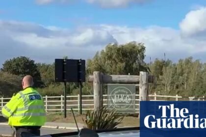 Man suffers ‘serious injury’ after jumping into zoo tiger enclosure