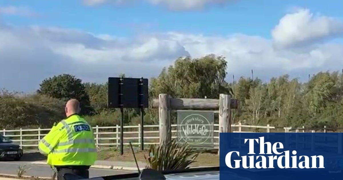 Man suffers ‘serious injury’ after jumping into zoo tiger enclosure