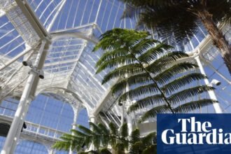 Falling glass and ‘decapitated’ plants: the race to protect Edinburgh botanic garden’s plants