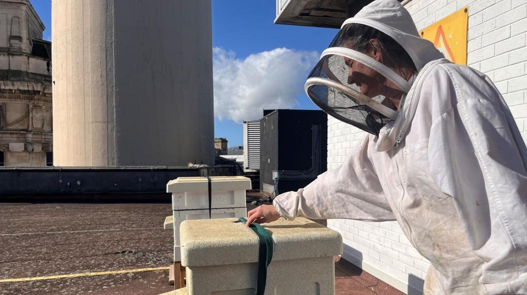 Bees create a buzz at Liverpool shopping centre