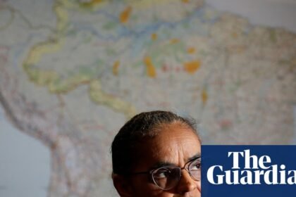 Marina Silva on Flávio Bolsonaro: He will try to finish his father’s ‘perverse project’ to destroy the Amazon