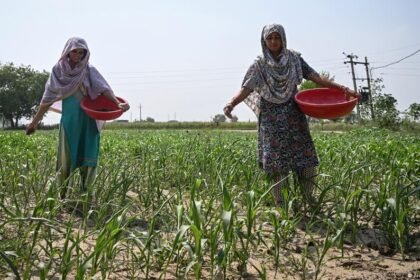 India faces water and power stress after weak monsoon