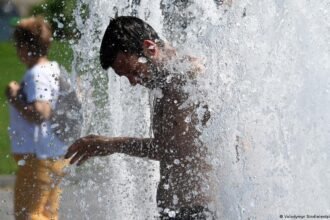 Half of Europe witnessed record heat stress this summer — EU