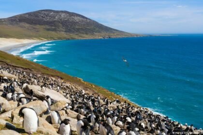 How a multibillion-dollar oilfield has ignited UK-Argentina feud over the Falklands