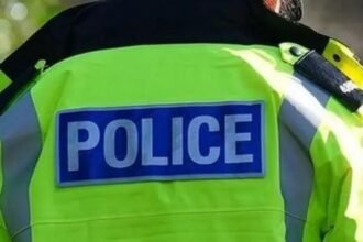Man arrested after boy, 11, injured in 'dog attack'