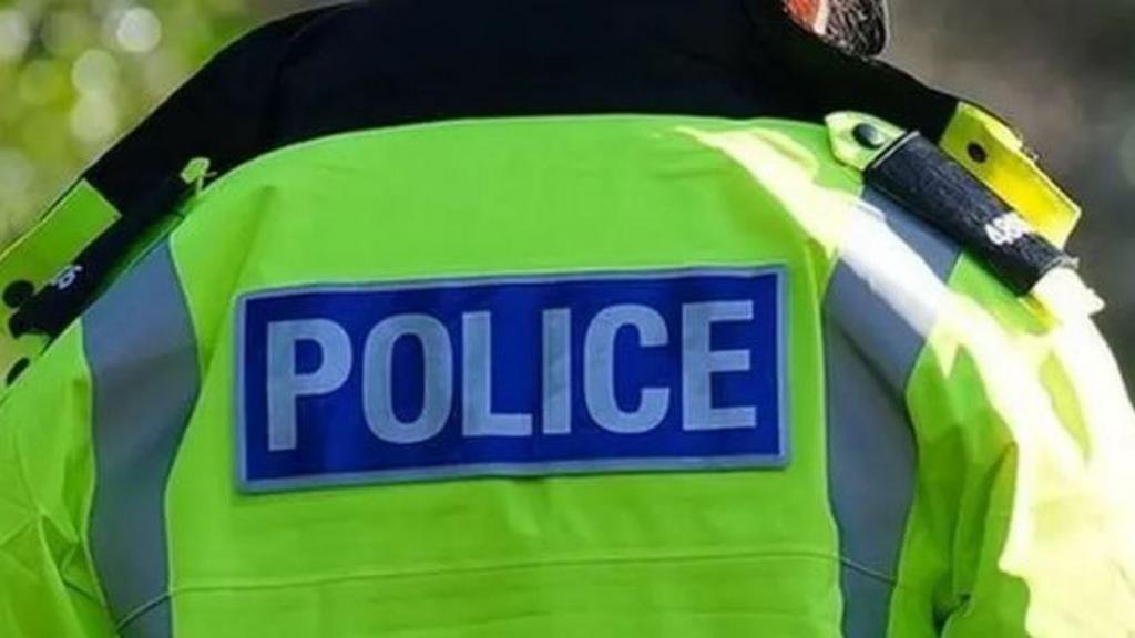 Man arrested after boy, 11, injured in 'dog attack'