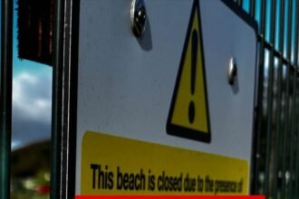Asbestos mystery leaves beloved beach closed