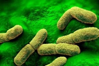 US 'watching closely' after plague researcher dies in Russia