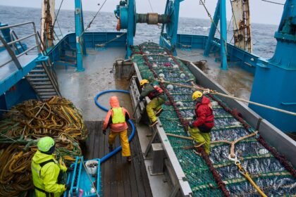 Fishing company behind McDonald’s Filet-o-Fish devastates Alaska salmon and Native communities