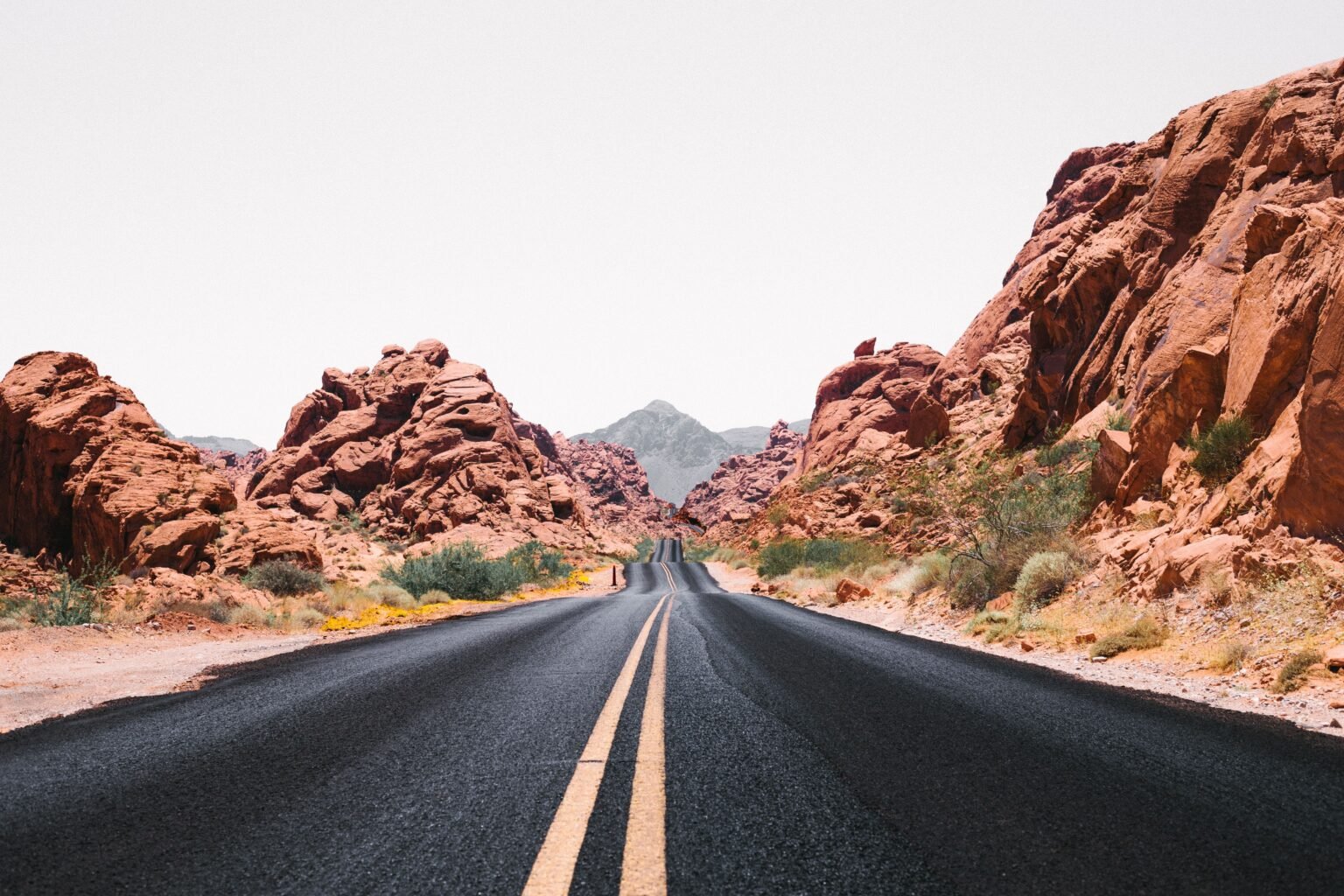 Top Car Rental Companies: Readers’ Choice Awards 2026