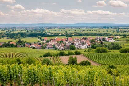 Deidesheim Is the Tiny German Wine Town You’ve Never Heard Of—And It Now Has a Three-Star Michelin Restaurant