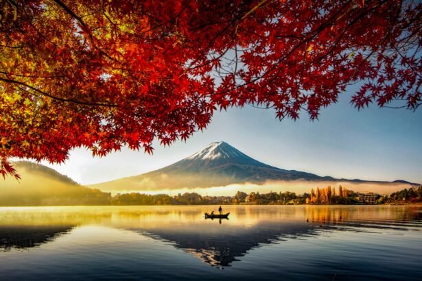 The Best Time to Visit Japan, Whether You Want to Save Money or Avoid Crowds