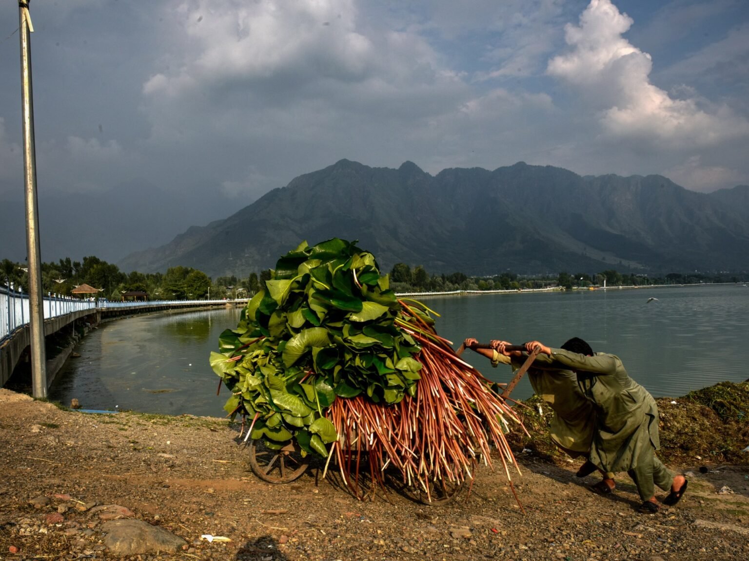 Photos: Kashmir’s Dal Lake faces environmental and climate challenges