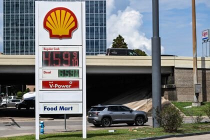 Trump somehow blames Ukraine for high US gas prices as he gets clobbered over it on campaign trail