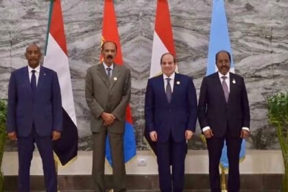 Four African leaders issue joint declaration as Ethiopia war escalates
