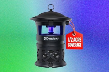 Best Mosquito Repellents for Your Yard: What Works and What Doesn’t (2026)