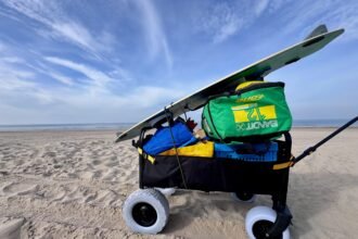 This remote-controlled wagon is silly but so very useful