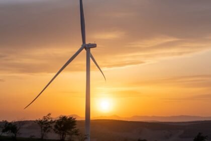 Why we’re watching these climate tech companies
