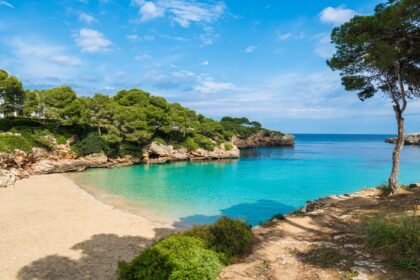 Bahia Principe Coupons: 40% Off This September