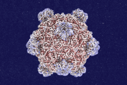Roundtables: A Conversation With the Creator of AI-Designed Viruses