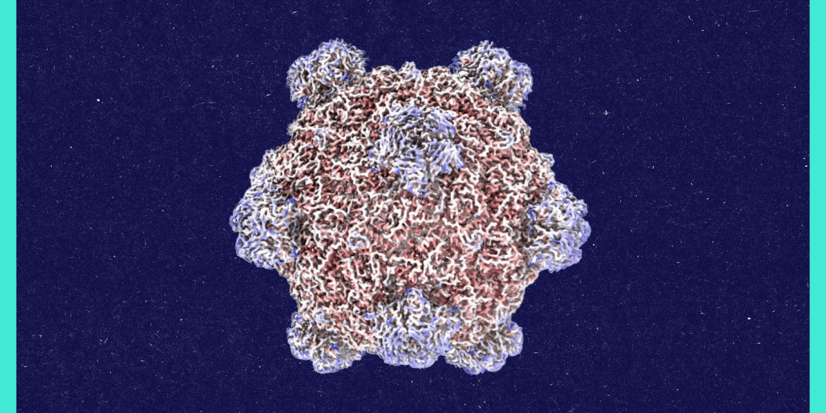 Roundtables: A Conversation With the Creator of AI-Designed Viruses
