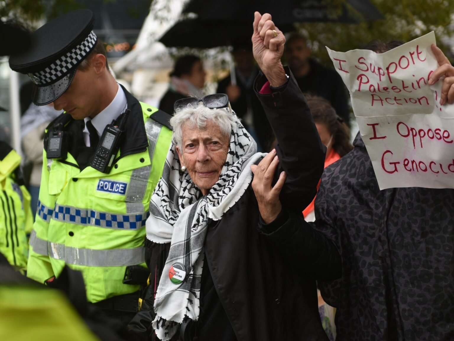 Jewish human rights barrister, 94, arrested for supporting Palestine Action