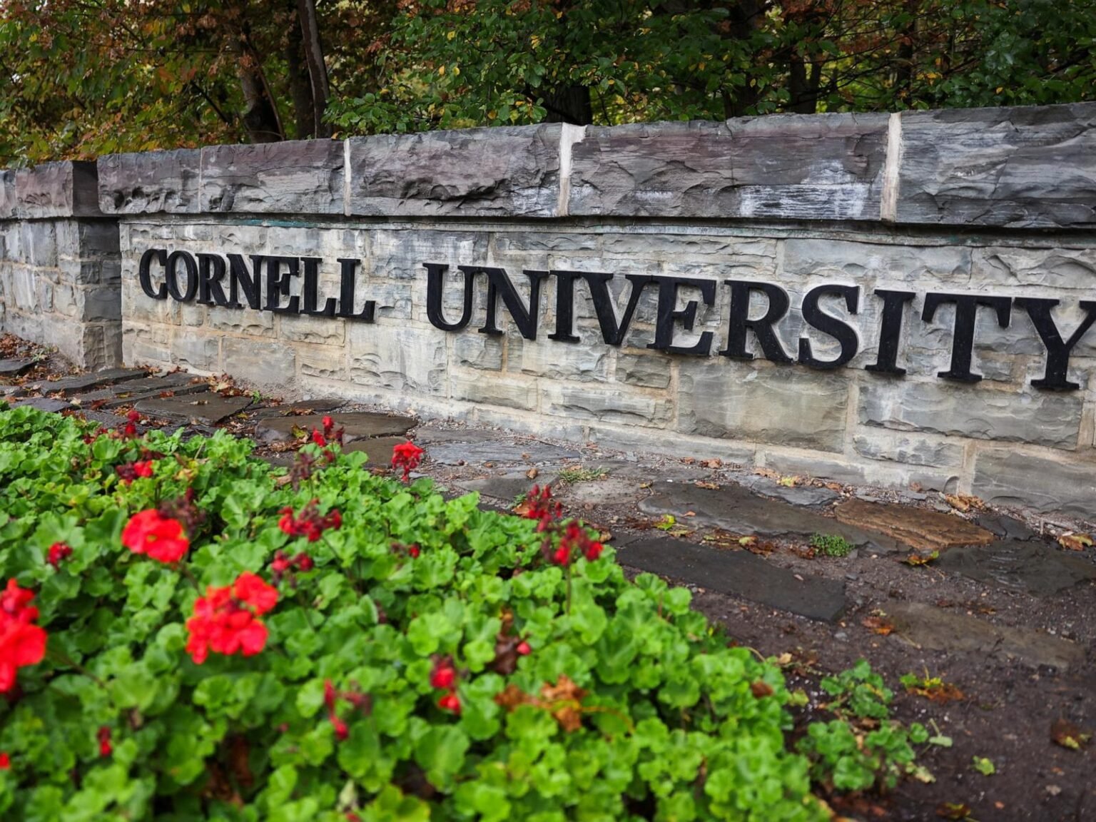 Cornell frat brother apologized to Jane Doe after alleged rape, texts show