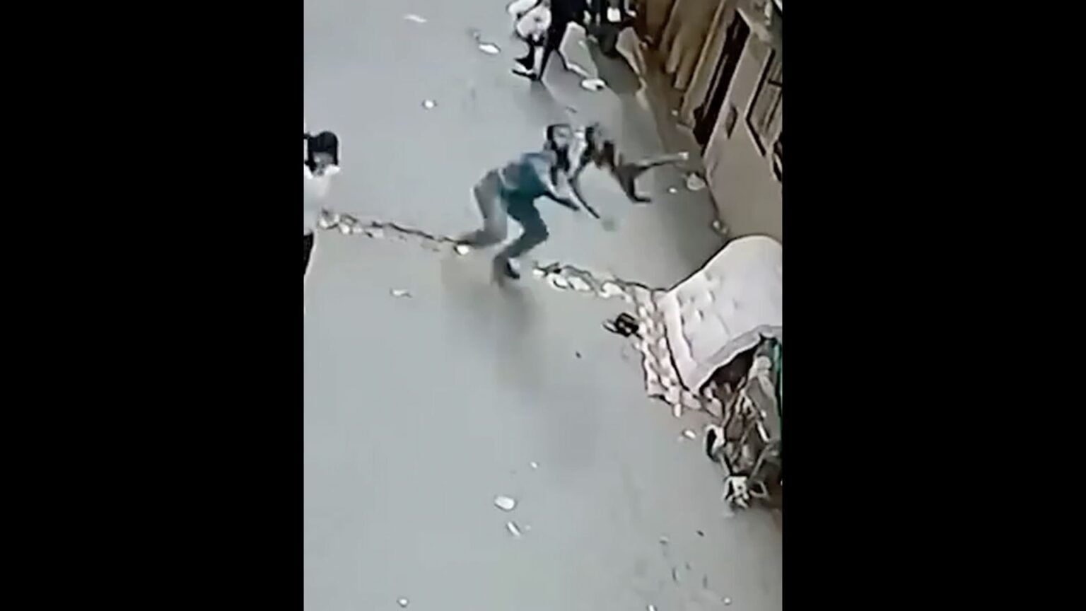 Man’s miraculous catch saves child after balcony fall in Egypt
