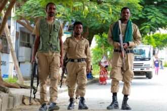 How fresh fighting in Tigray could spark wider conflict in Ethiopia