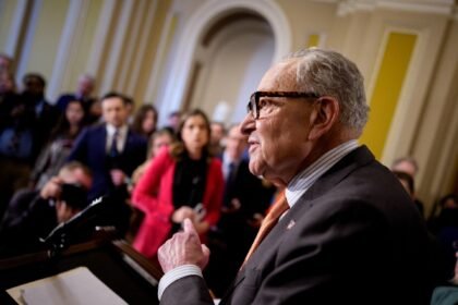US Senate rejects bill targeting AI data centre electricity costs