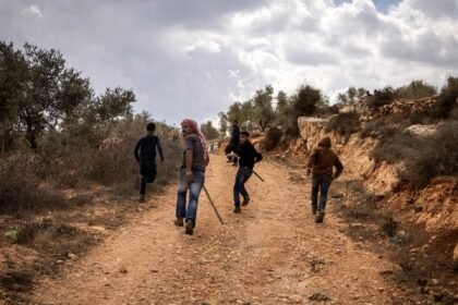Palestinian killed, several injured in Israeli pogrom in occupied West Bank