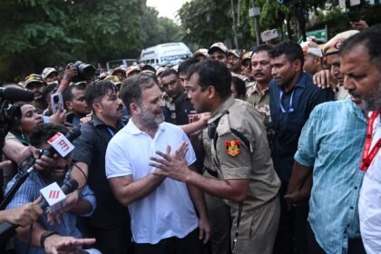 Indian opposition leader Rahul Gandhi detained over election chief protest