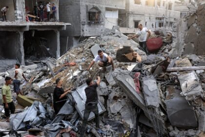 Gaza ceasefire ‘exists in name only’, more than 100 NGOs say