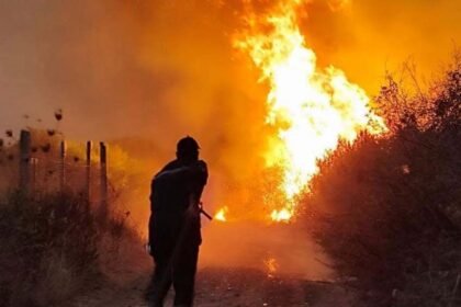 Algeria introduces death penalty for arsonists after deadly wildfires