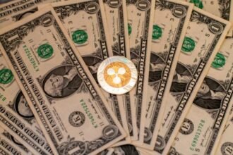 Ripple is earning fees financing leveraged stock bets, a business long run by banks
