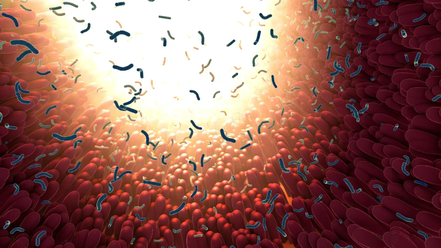 Taking antibiotics? Sugar may be making the damage worse