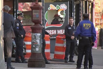 Person shot during interaction with federal agents in New York City: NYPD