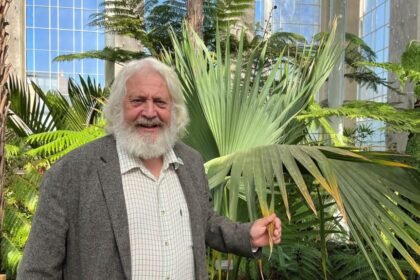 Six years, hundreds of plants and one tree casualty - Edinburgh's Palm House returns