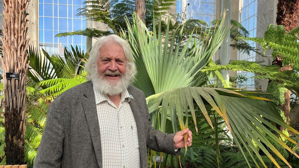 Six years, hundreds of plants and one tree casualty - Edinburgh's Palm House returns