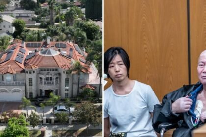 'House of Horrors': California couple accused of abusing surrogate-born children