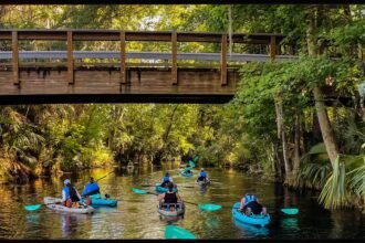 11 Airbnb Experiences Across the US Actually Worth Booking