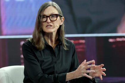 Cathie Wood says smart investors need to start watching where AI agents spend money