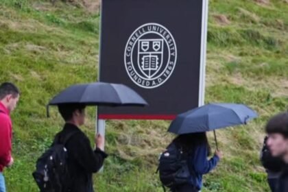 About 40 sexual assaults reported annually at Cornell from 2019 to 2024, CBS News analysis shows