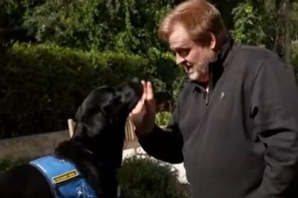 How a service dog changed a disabled veteran's life