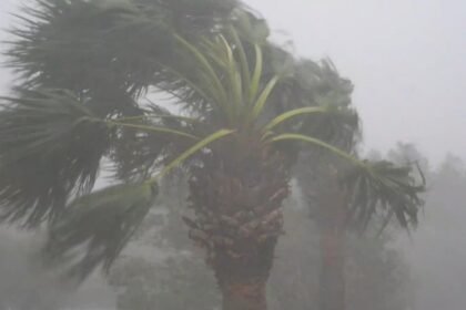 Isaias makes landfall as Category 2 hurricane