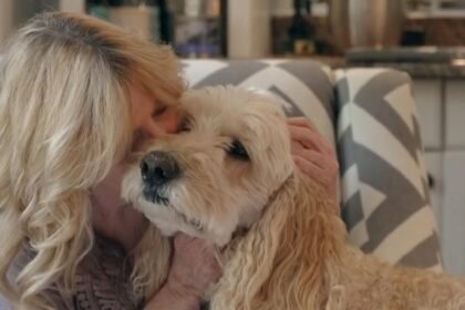 Lost pet recovery specialist reunites 66-year-old widow with her dogs after car accident