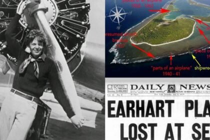 What happened to Amelia Earhart? These archaeologists are on a mission to find out.