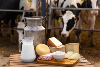 Not all trans fats are bad, major review finds