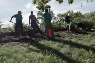 How this New York City community cleanup project is helping adults make new friends